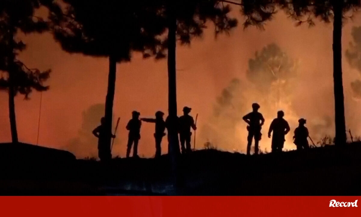 <![CDATA[ Mais de 120 concelhos do interior Norte e Centro e Algarve em risco máximo de incêndio ]]>