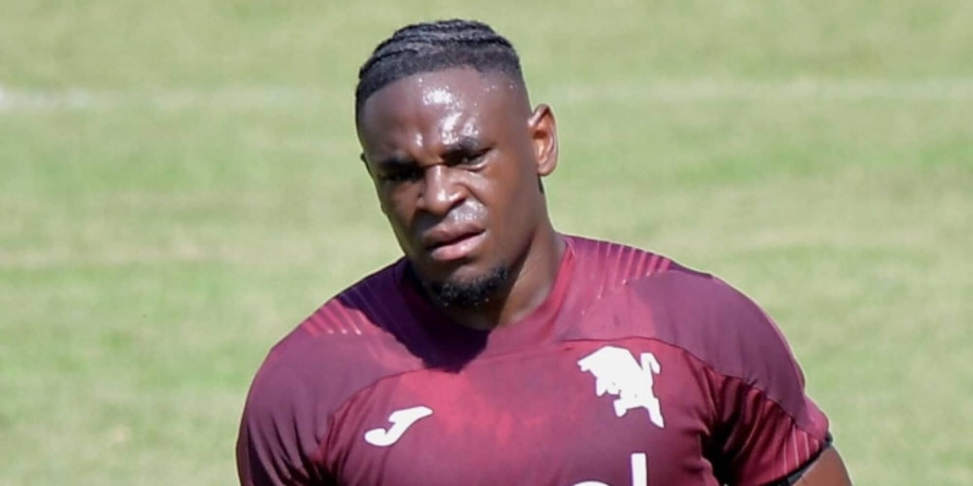 „Zapata und Simeone: Torinos Angriffsduo wird funktionieren.“<br />
