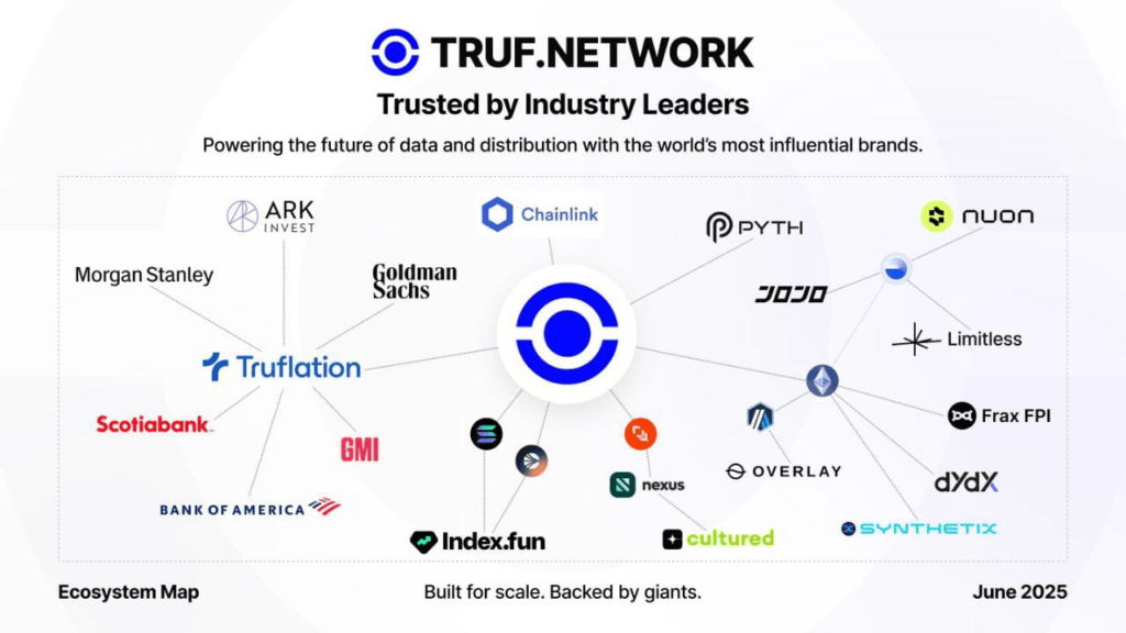 Wat is TRUF NETWORK?