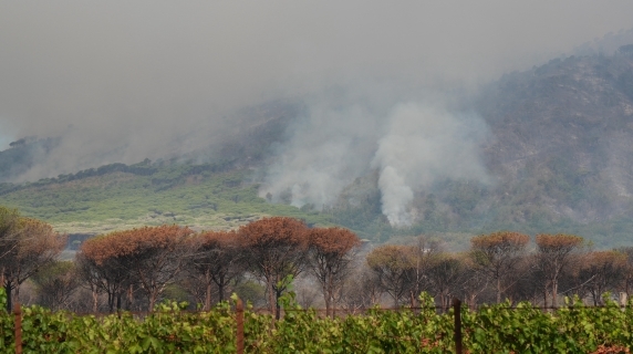 Fiamme sulle pendici del Vesuvio: la situazione in diretta video