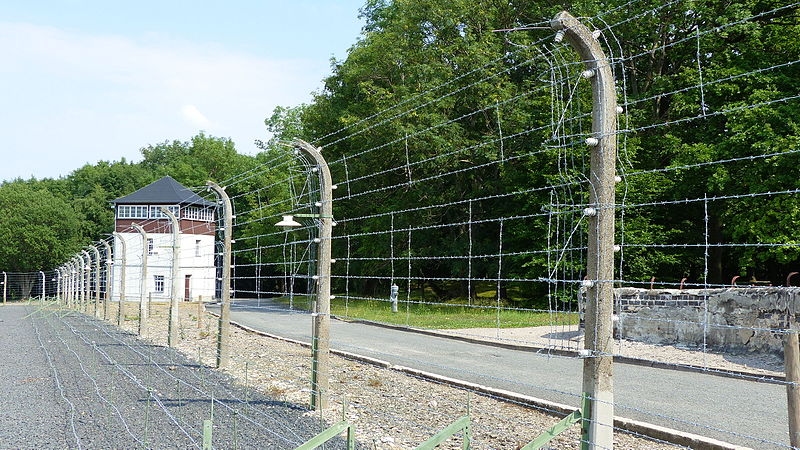 Le plus vieux survivant de l'Holocauste décède aux États-Unis. Elle avait 113 ans.