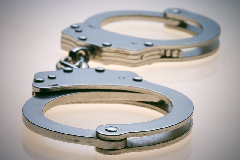 Cinque anni dopo l'omicidio di due neonati, la polizia di New York ha arrestato la loro probabile madre.
