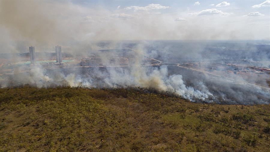 A Amazônia brasileira registrou a maior área queimada dos últimos quarenta anos em 2024.
