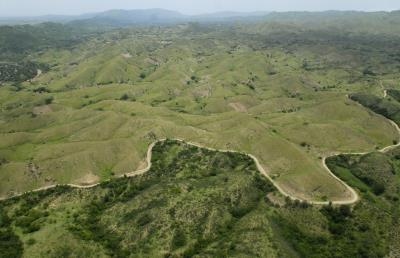 Deforestation and recycling in Mangas Verdes 453