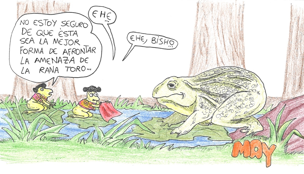 A Ameaça do Sapo-Touro. Por (*) Maio