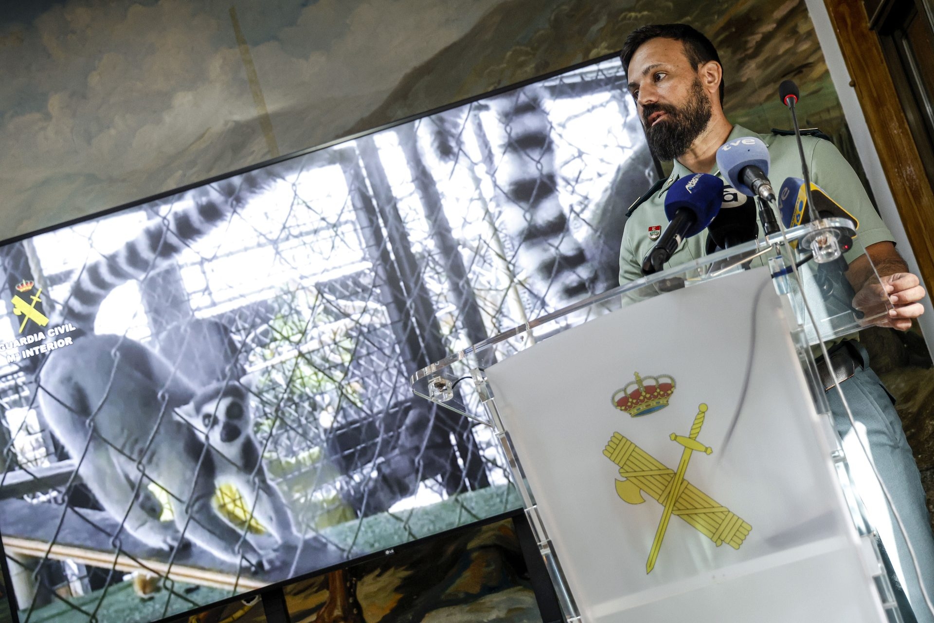 In Nules (Castellón) wurde ein heimlicher Privatzoo mit 150 exotischen Tieren aufgelöst.