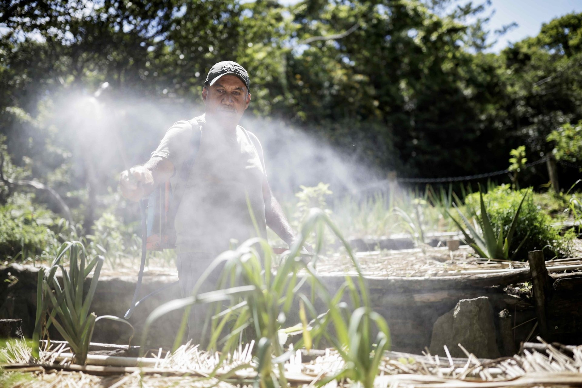 Permaculture in Costa Rica, a sustainable model for transforming the productive landscape