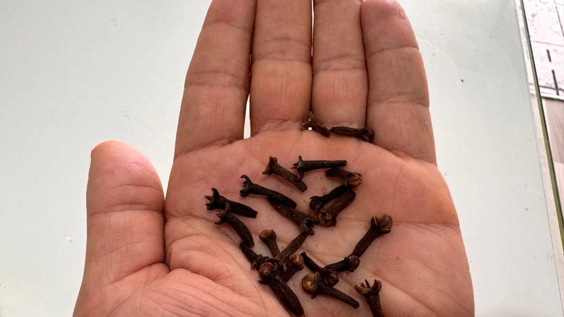 Van tandpijn tot maagklachten… Natuurlijke oplossing voor slechte adem en spijsverteringsproblemen!