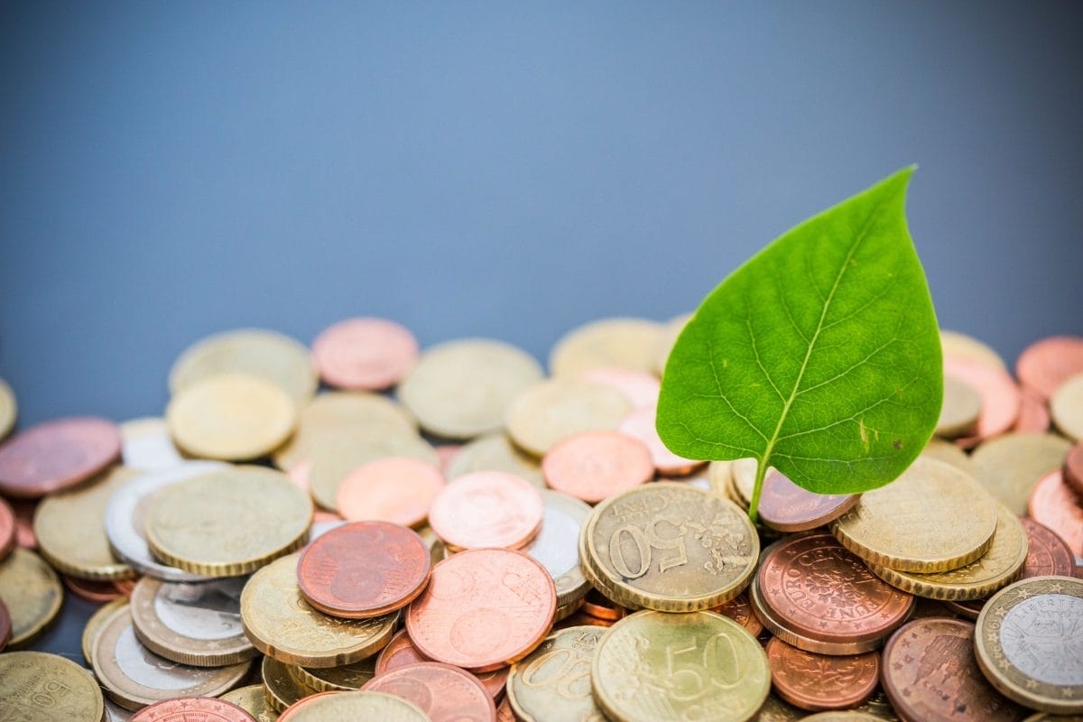 BBVA ile Avrupa'da ESG Sürdürülebilir Yatırım: Bilinçli ve Karlı Yatırım Potansiyeli! Gelecek Yeşildir