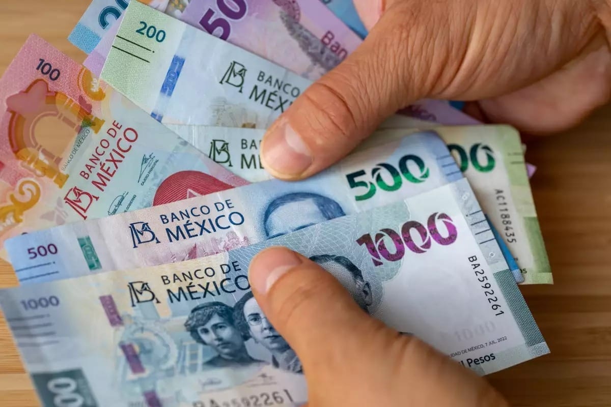 Kredi Bürosu'na kayıtlıysam 2025 yılında bana herhangi bir kar paylaşımı yapılmayacak mı?