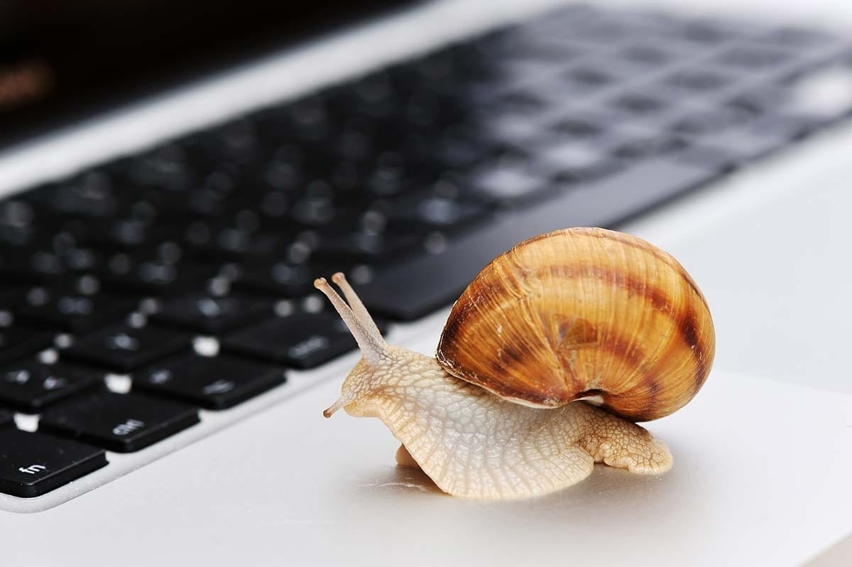 Trage pc na Windows 11-update: oplossing in 5 stappen