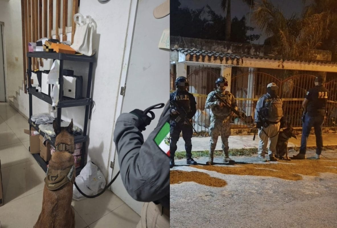 SSP asegura narcóticos durante cateo en la García Ginerés