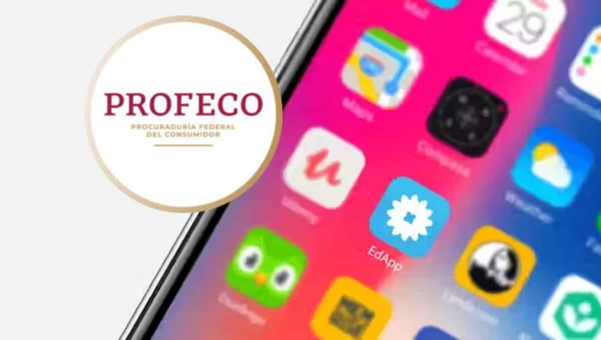 Hoe kies je de beste back-to-school-apps volgens Profeco?