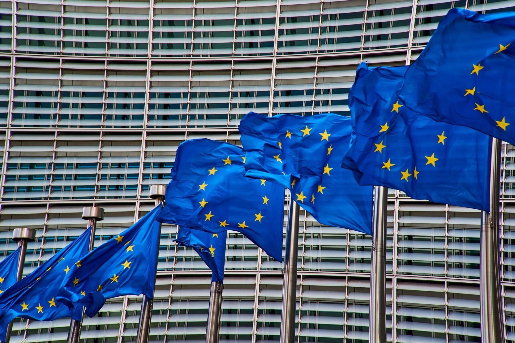 Politicians and diplomats vs Omnibus: the transition to a fair and sustainable economy cannot wait