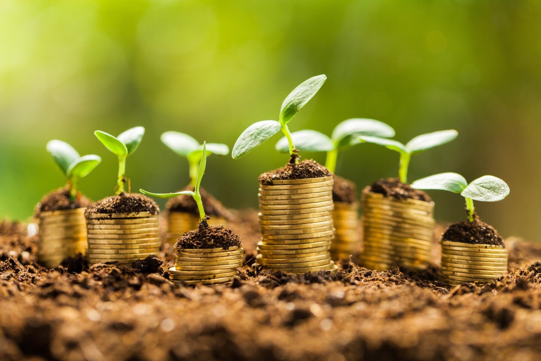 Etica Sgr: названия фондов ESG уже соответствуют рекомендациям ESMA