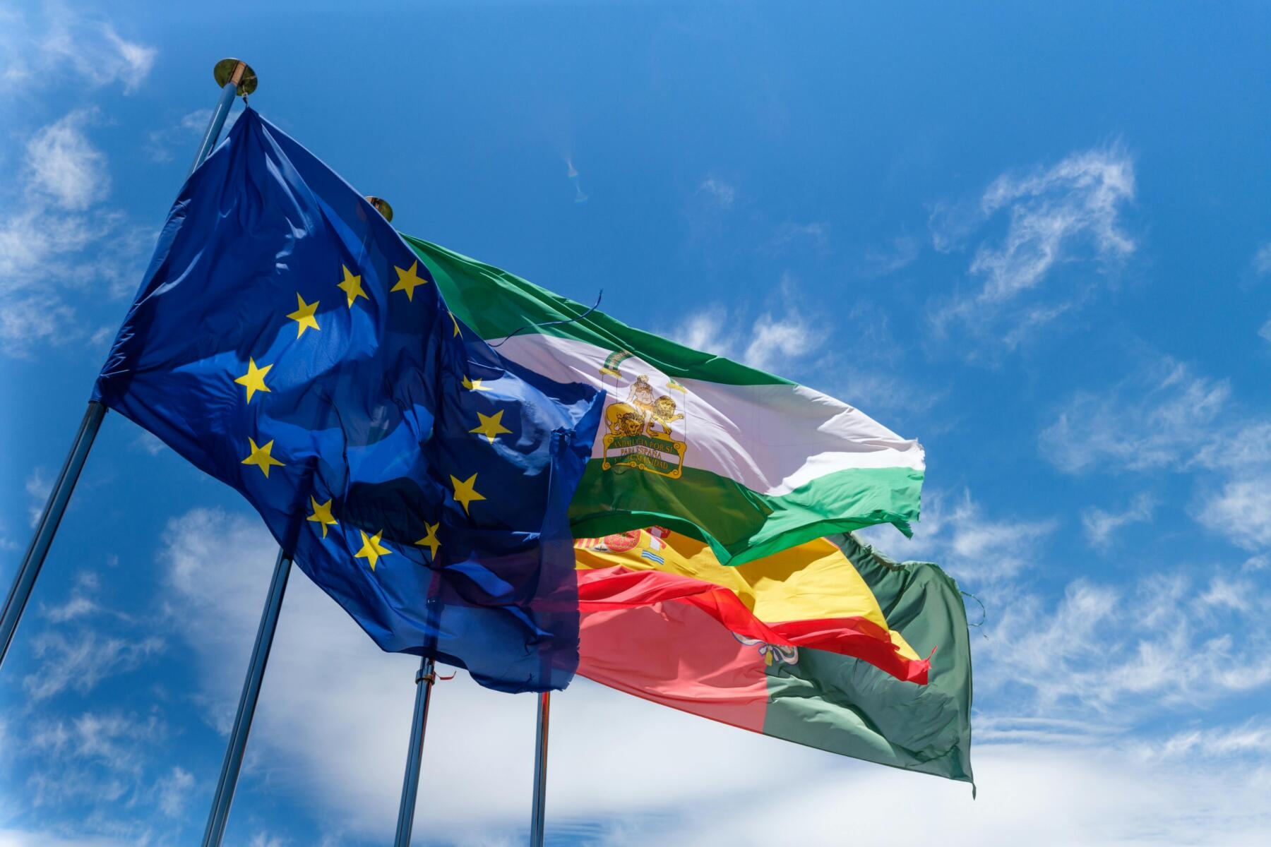 EU: Neue Klimaziele für 2040 stehen bevor, mögliche Einbeziehung von Emissionsgutschriften, Länder gespalten