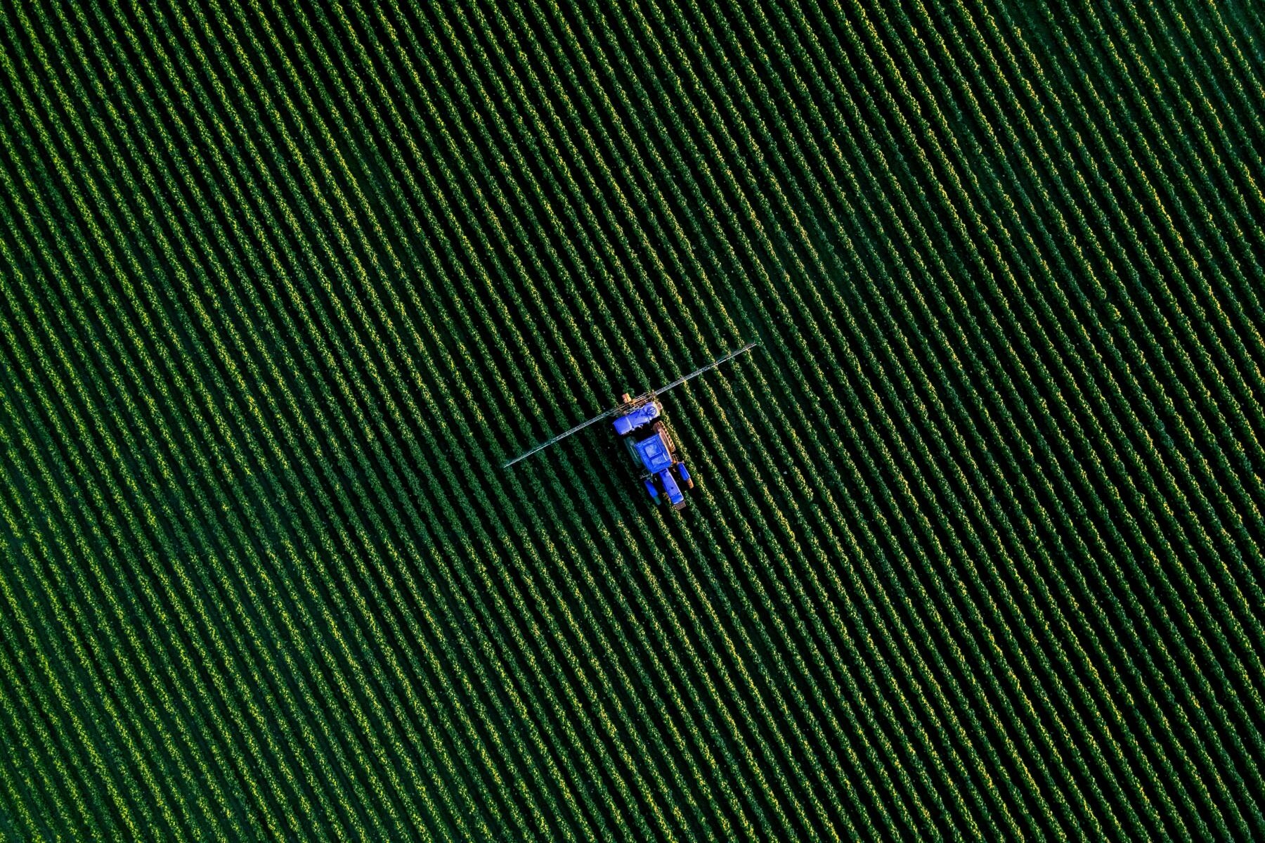 Ambienta, Agronova'yı satın alarak sürdürülebilir tarıma yatırım yapıyor