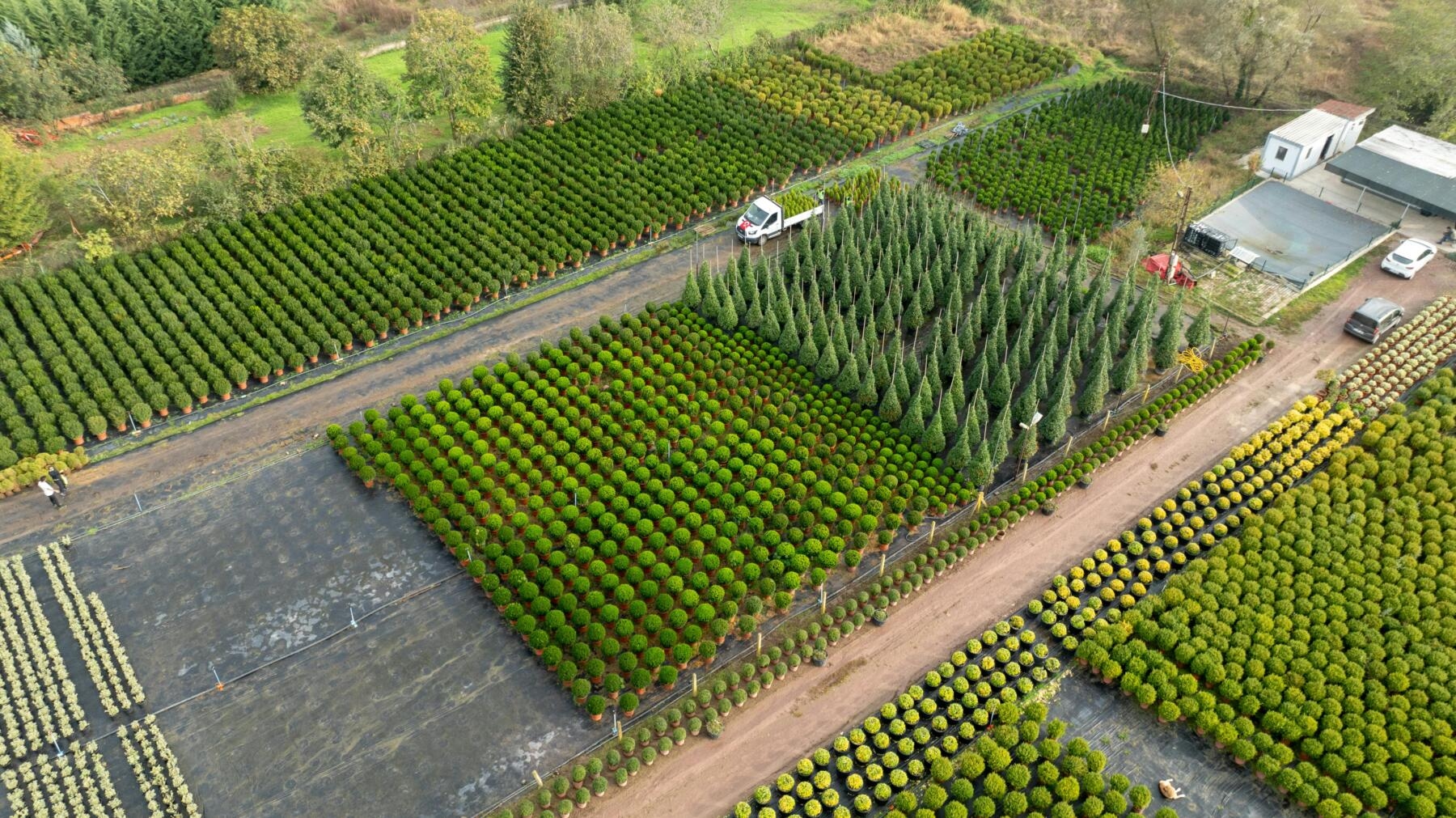 Bioeconomia, valores recordes em 2024, Itália segundo na UE gerou 426,8 bilhões de euros