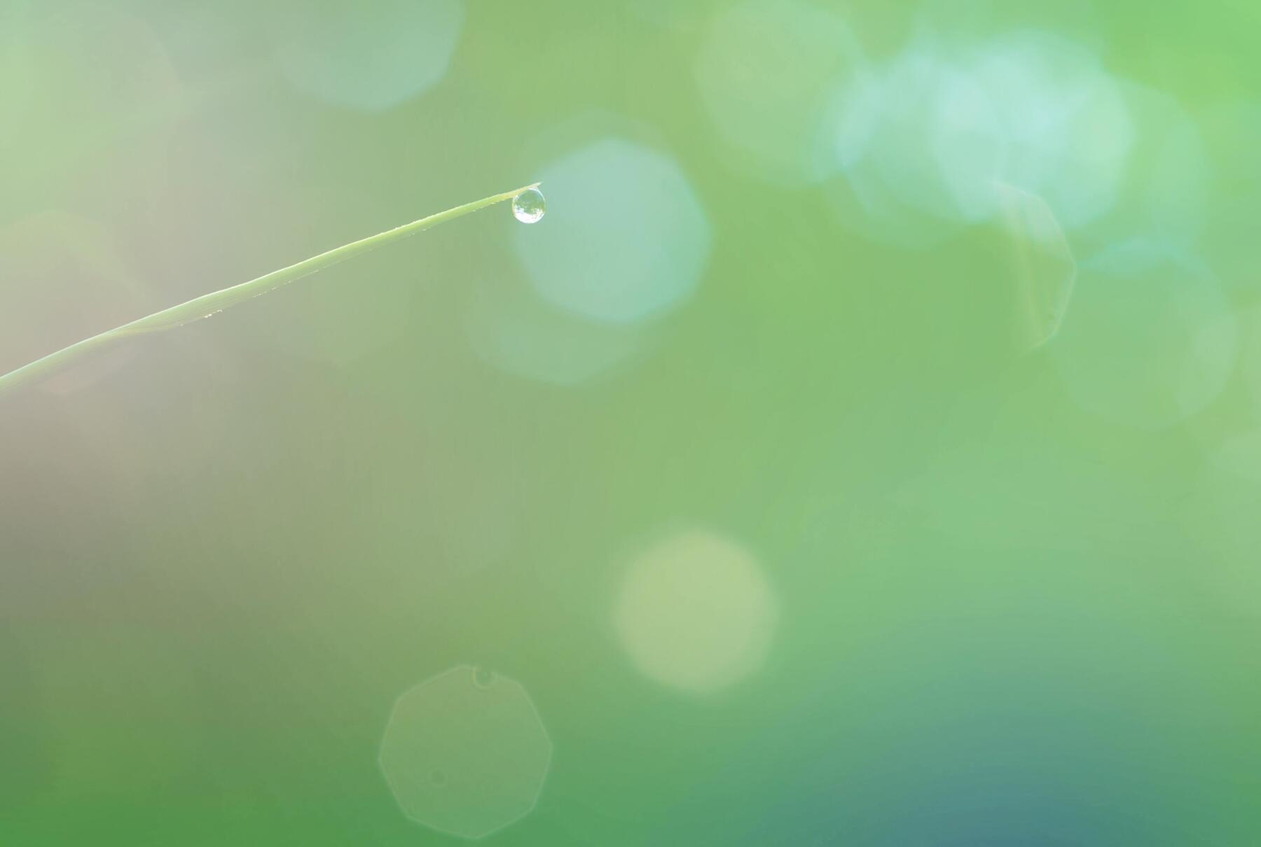 Green and digital patents: Europe accelerates, Italy grows but lags behind in AI