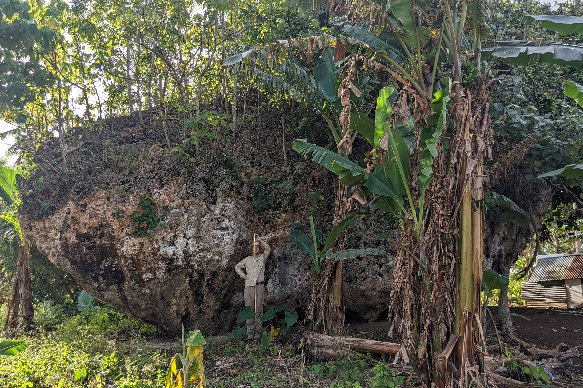 Come una roccia gigante si è spostata in cima a una scogliera su un'isola del Pacifico