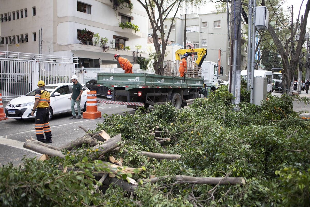 Tormenta de viento derriba 67 árboles y deja dos heridos en el este de SP