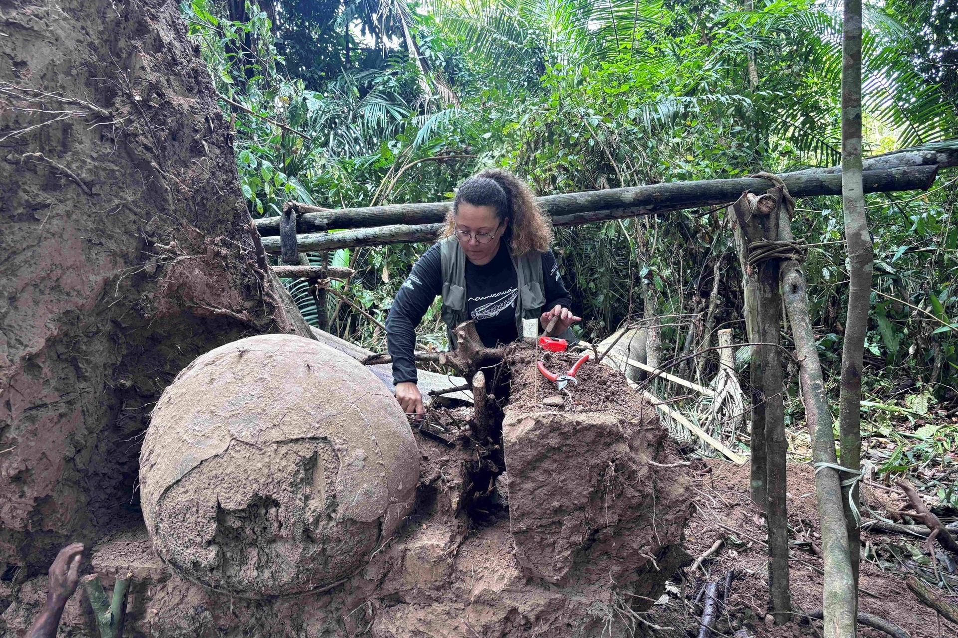 Hallan grandes urnas funerarias en una isla artificial del Amazonas