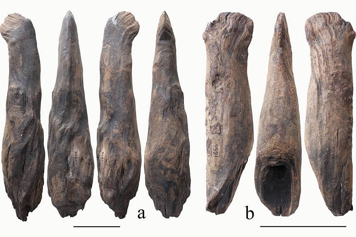 Excavation reveals 300,000-year-old wooden tools in China