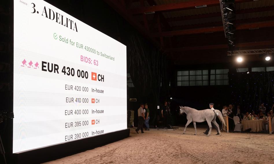 Una subasta exitosa de "Orgullo de Polonia". Los caballos se vendieron por 1,3 millones de euros.