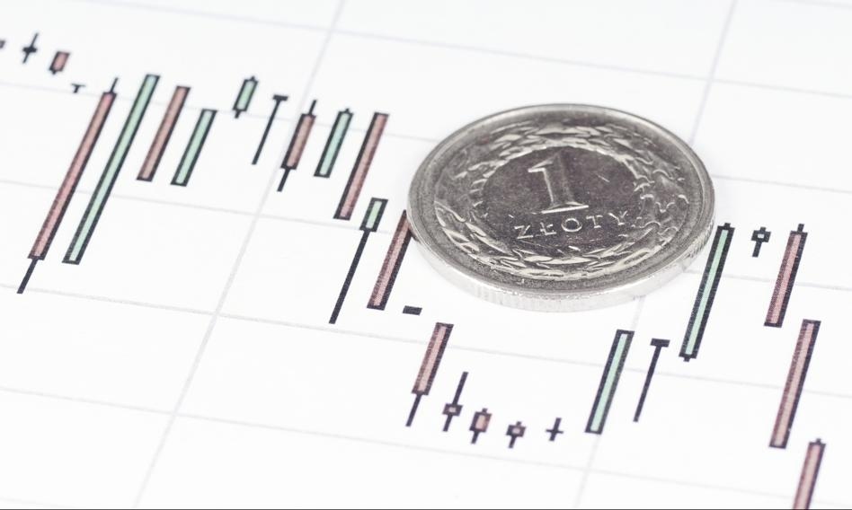 The zloty was shaken but not stirred. The dollar rate slowed down to 3.60 PLN