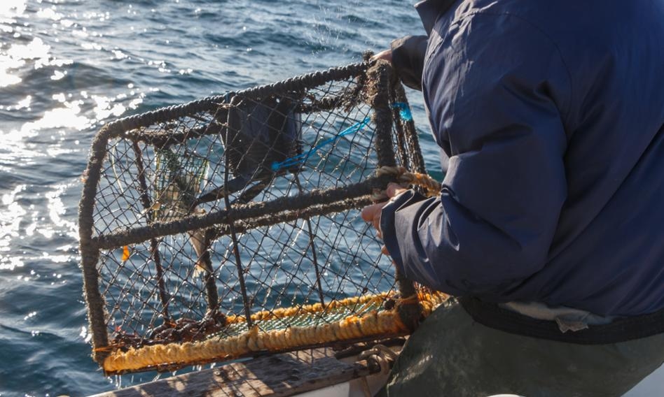 Jihadists make millions from "taxes" collected from fishermen and farmers