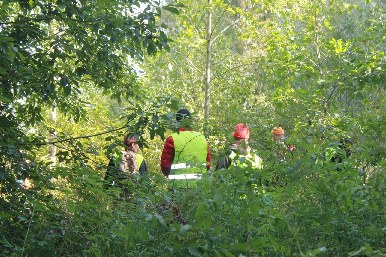 Os novgorodianos que decidiram relaxar no seio da natureza causaram muitos problemas para seus parentes e pesquisadores