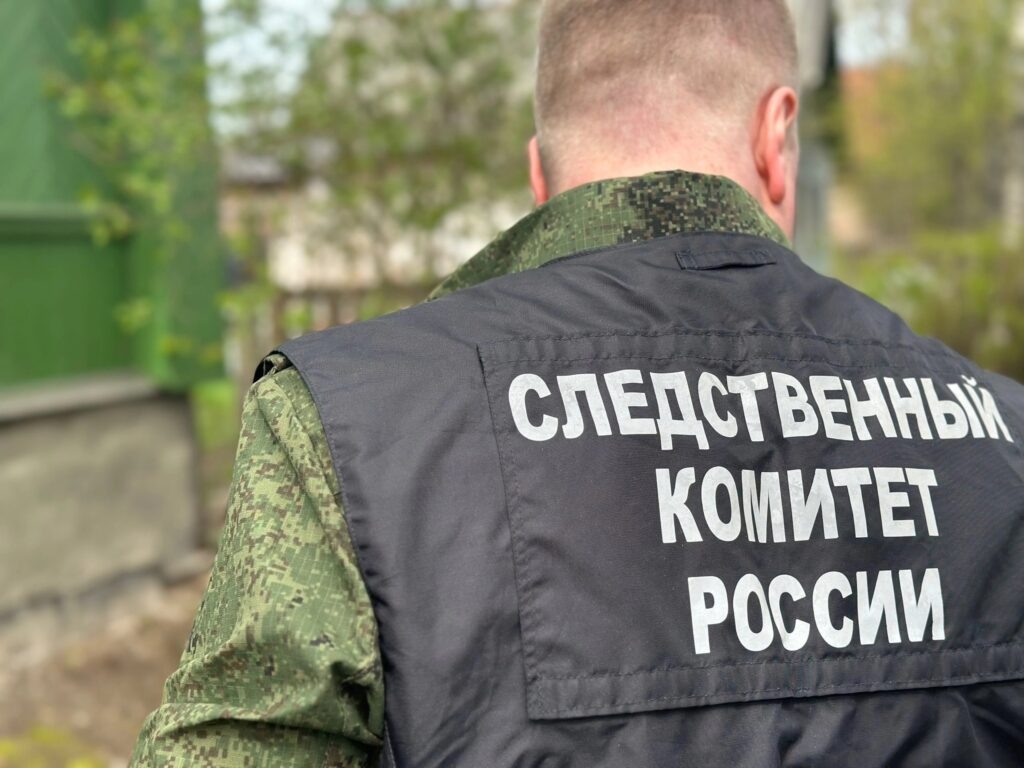 The Investigative Committee has become interested in the crowd of Novgorod boys who beat up the teenager