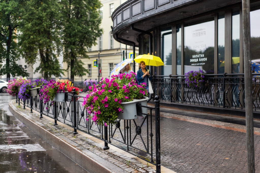 La prima settimana di giugno potrebbe iniziare con la pioggia per i residenti di Novgorod