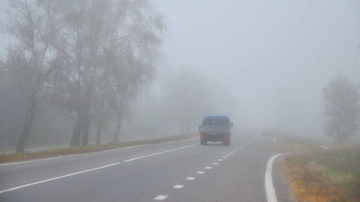 Uno scienziato di Novgorod ha scoperto che Shevchuk e i bardi sovietici avevano strade diverse