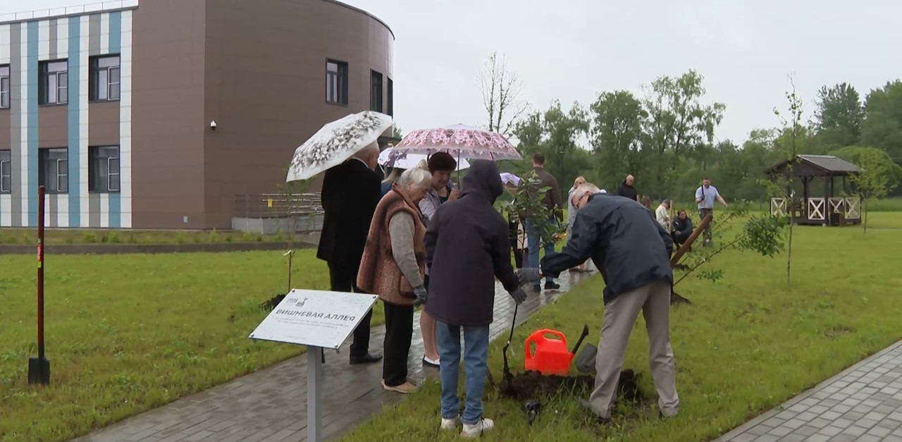 Cherry Alley marks the beginning of the garden near the Novgorod House of Social Care