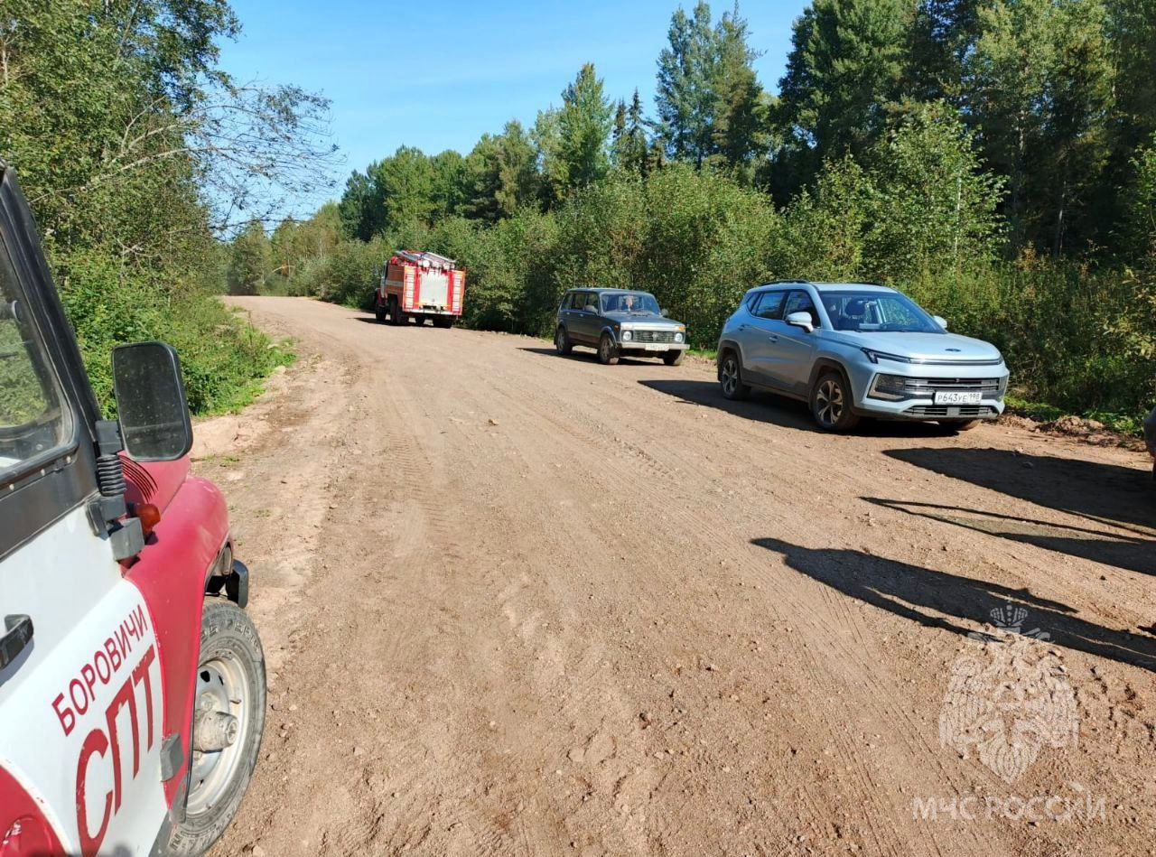 Deux retraités de Novgorod ont été sauvés de la forêt après que 34 personnes les aient recherchés pendant 2 jours.