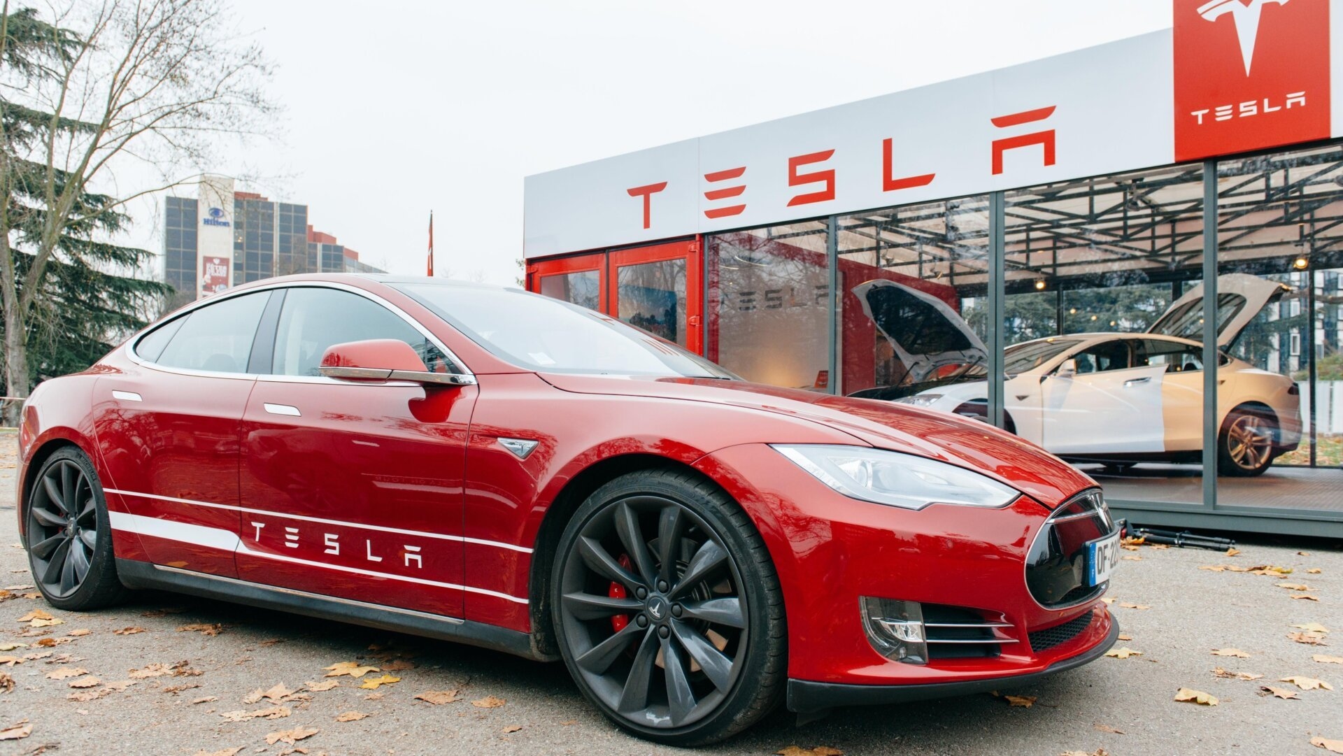 I numeri di Tesla sono arrivati, e non sono buoni