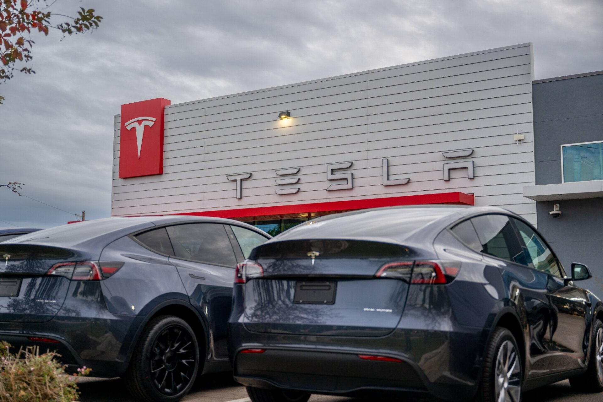 Con il calo delle vendite, Tesla punta sull'India