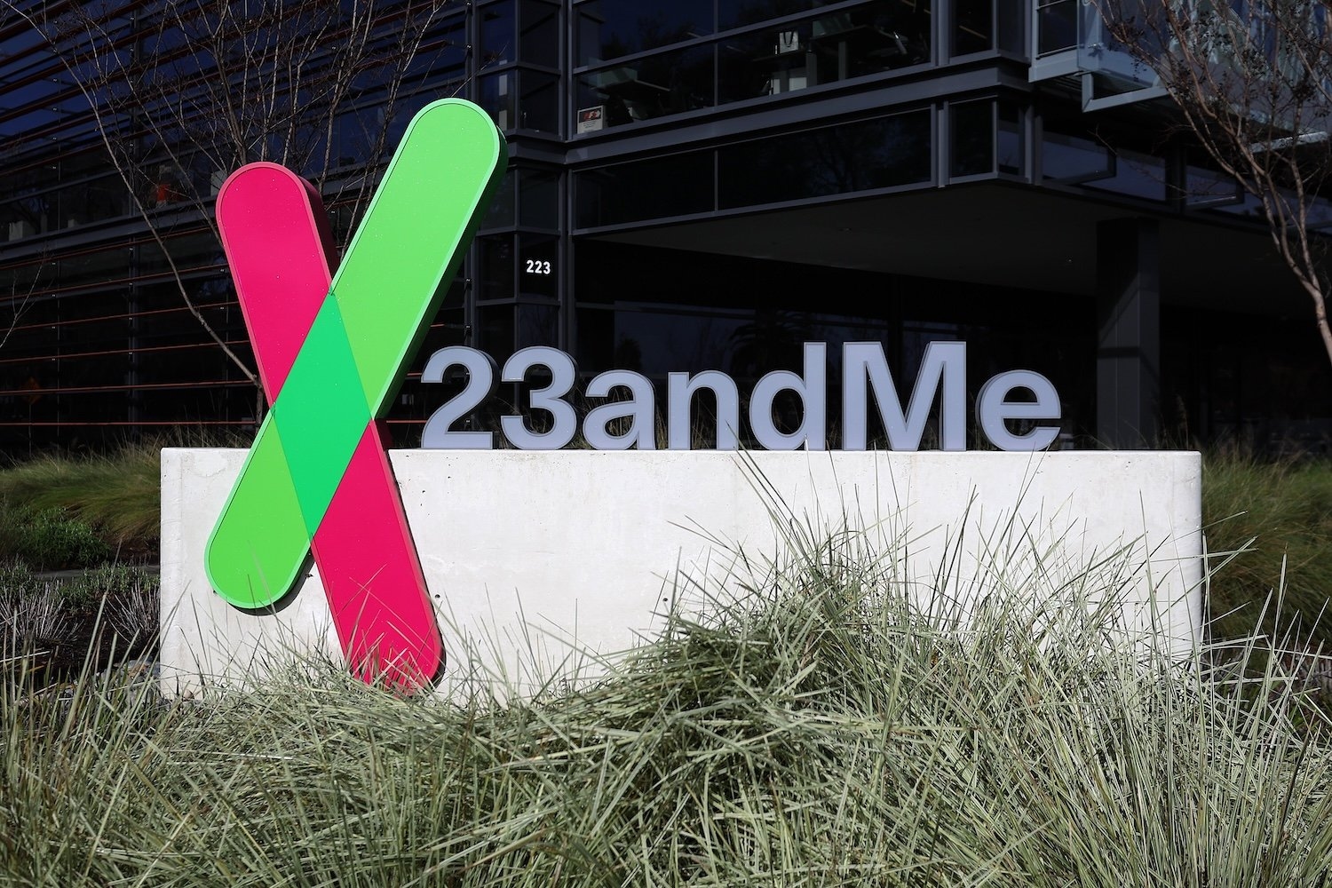 23andMe вновь открывает аукцион данных, предлагая 305 миллионов долларов от бывшего генерального директора