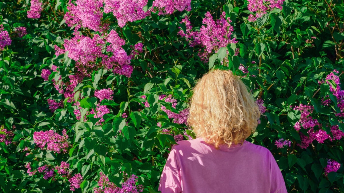 Cosas que los humanos aún hacen mejor que la IA: comprender las flores