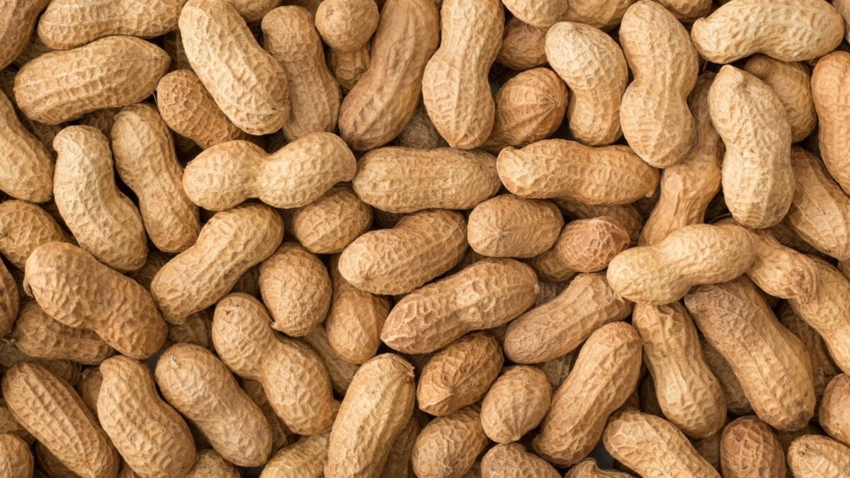 Questo farmaco già approvato potrebbe fermare le peggiori reazioni allergiche alimentari