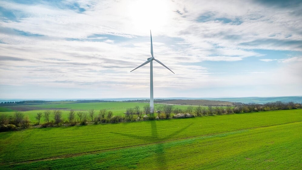 Os passos mais importantes na transição energética para as PME