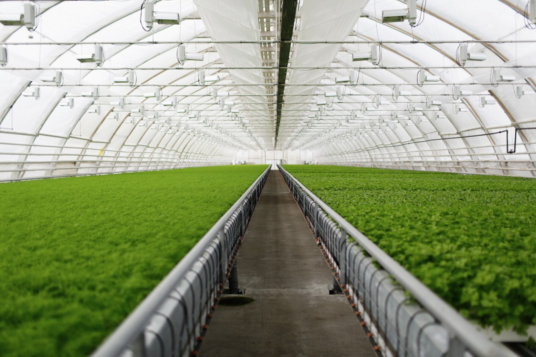 Por que a energia sustentável é uma boa escolha para empreendedores do setor agrícola