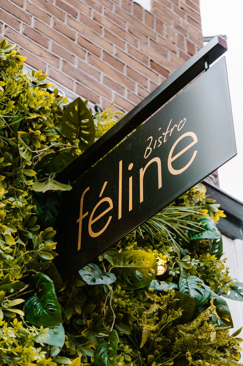 Bistro Féline Amsterdam: stile francese e cucina raffinata nel quartiere Jordaan