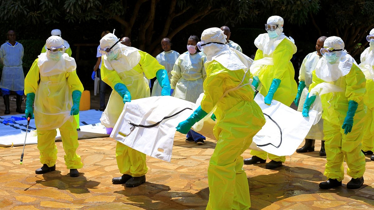 Des médecins tirent la sonnette d'alarme au sujet d'une maladie mystérieuse au Congo après le décès de 50 personnes quelques heures après l'apparition des symptômes