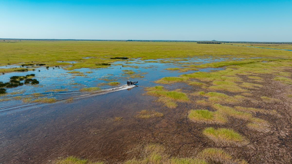 Canapes with cows, bush tucker at sunrise, croc spotting and a helicopter pub crawl: Why Australia's Northern Territory is the perfect adventure holiday