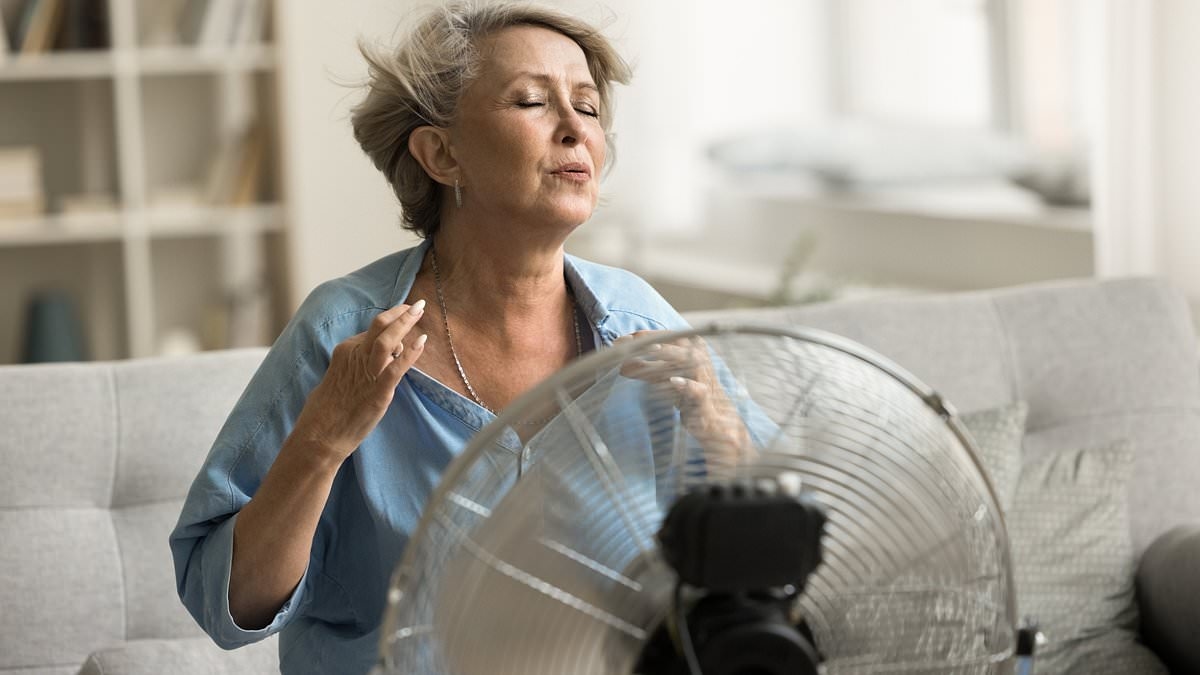 ¿Sofocos? ¡Abre una ventana! Cómo los hombres ignoran la menopausia