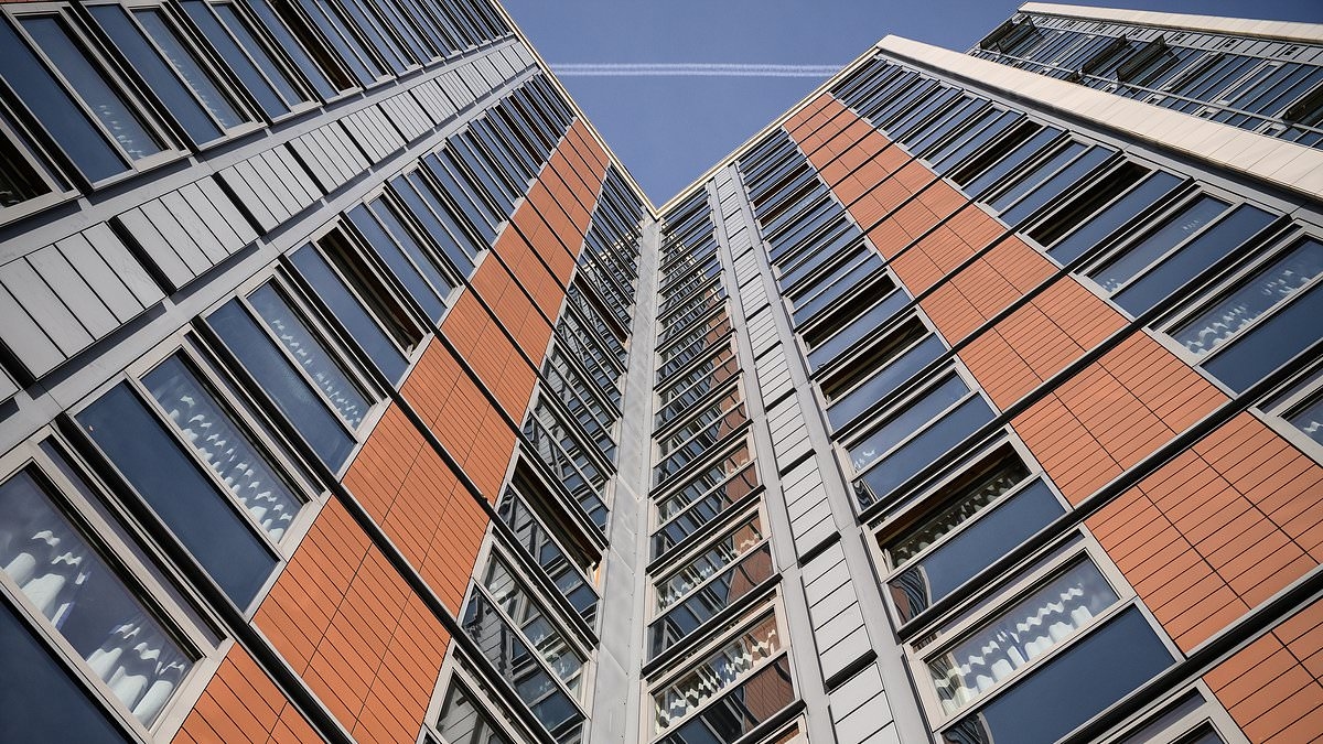 La demande de logements étudiants et de bureaux luxueux contribue à stimuler le « renouveau » de l'immobilier commercial
