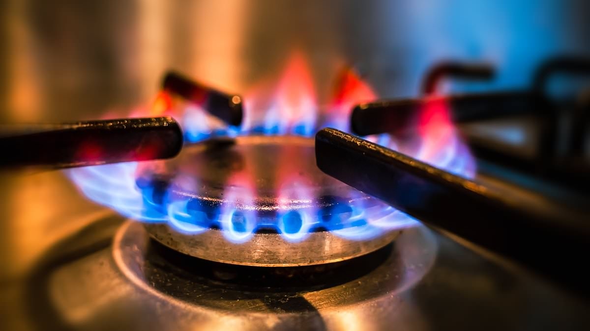 GABRIEL MCKEOWN, hatalı sistemin milyonlarca insanın enerji faturaları için gereğinden fazla ödemesine neden olduğunu söylüyor
