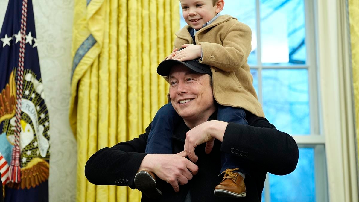 Elon Musk's 'trusted companion' casts doubt on his black eye excuse and implies he's 'particularly vulnerable'